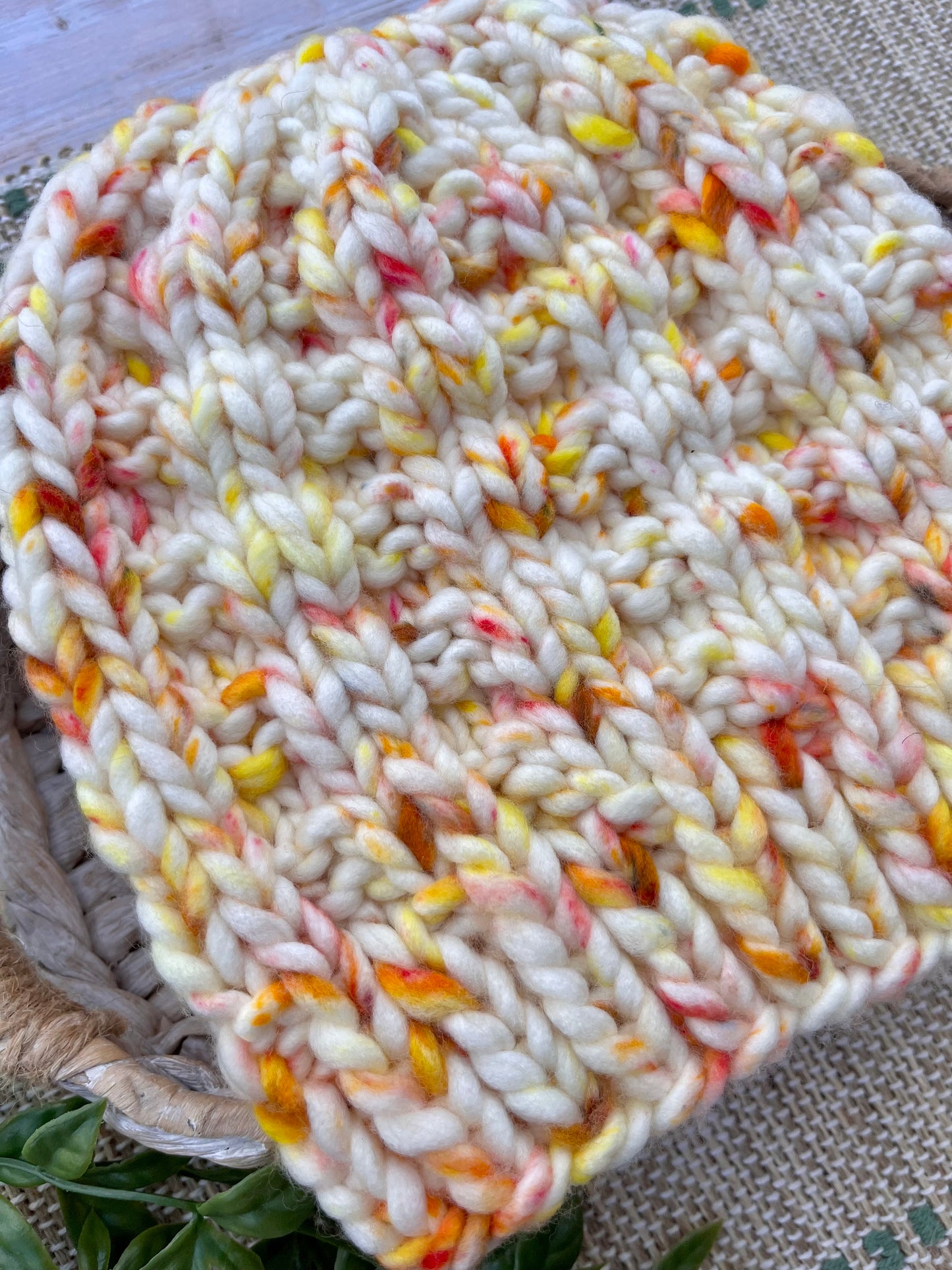 Birch Beanie in Creamsicle