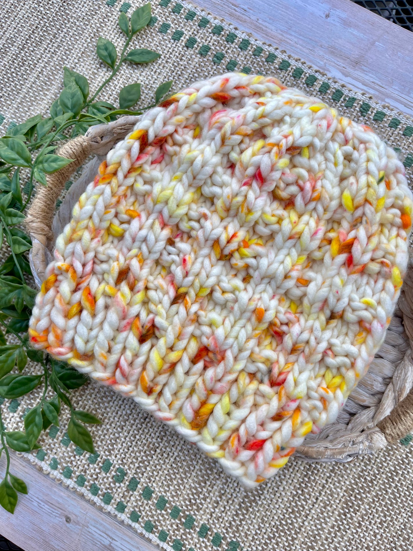 Birch Beanie in Creamsicle