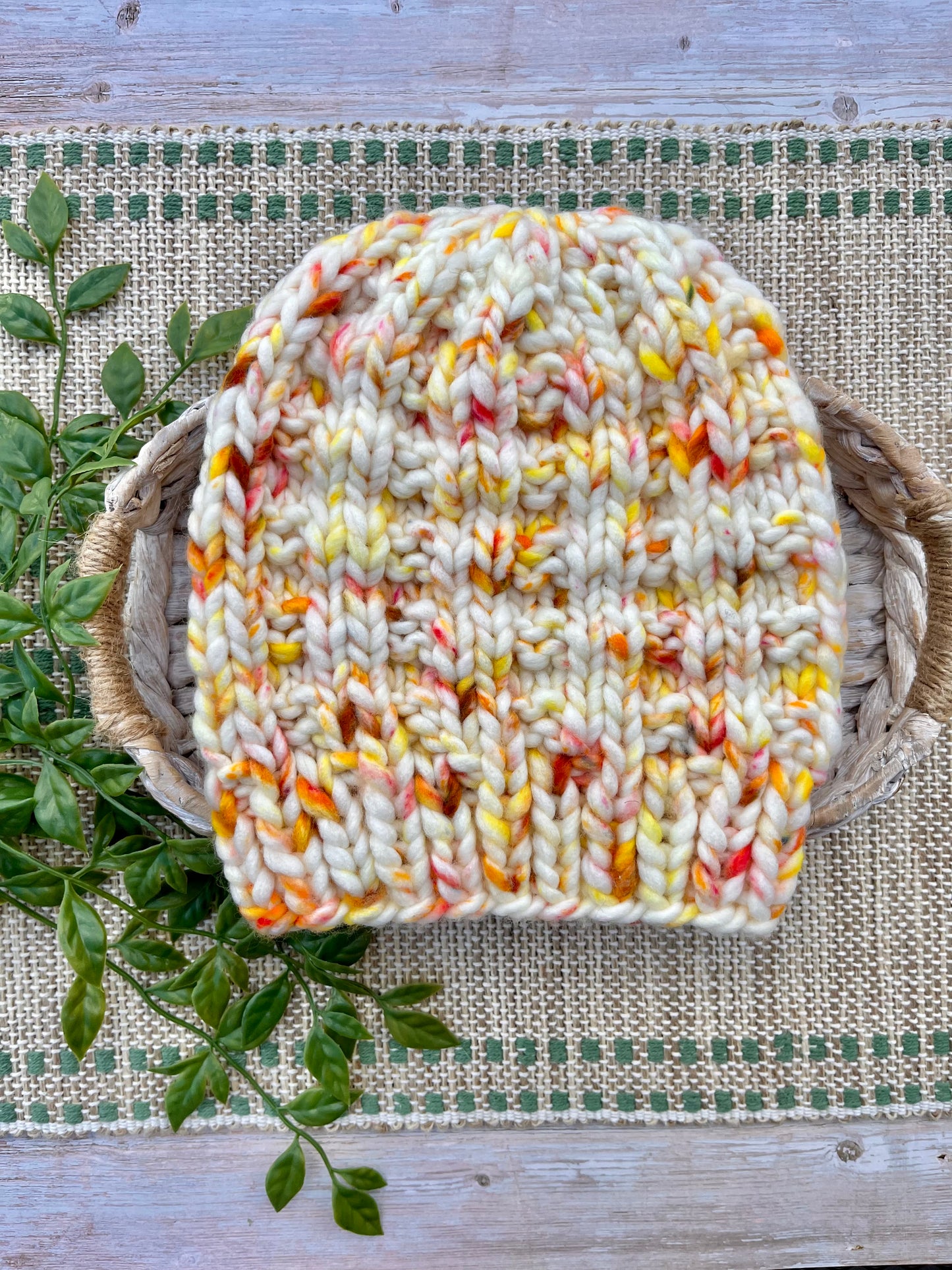 Birch Beanie in Creamsicle