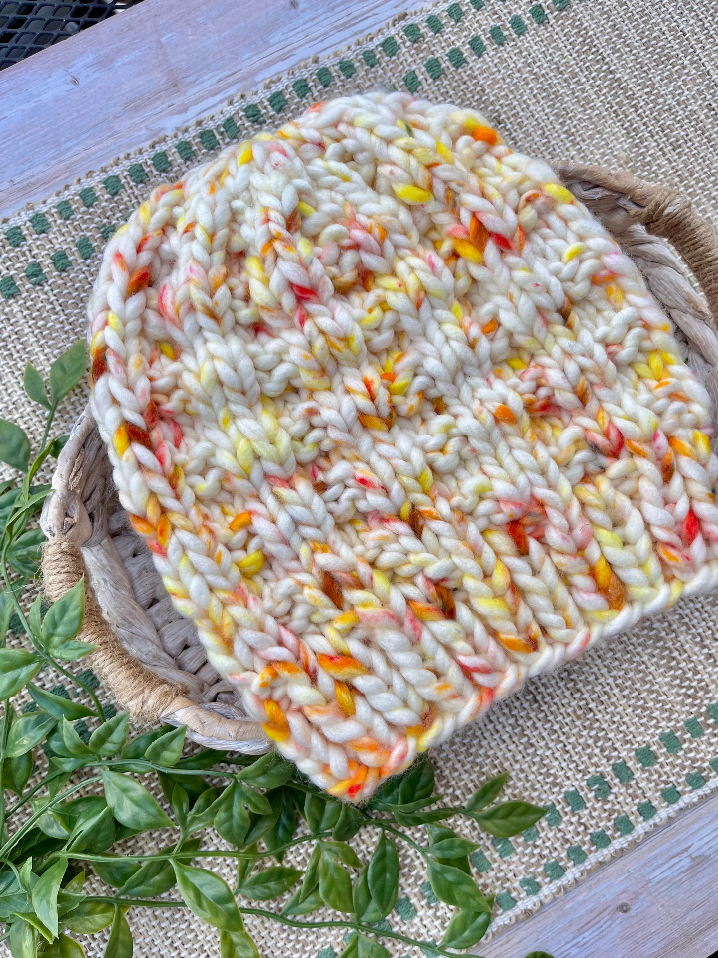 Birch Beanie in Creamsicle