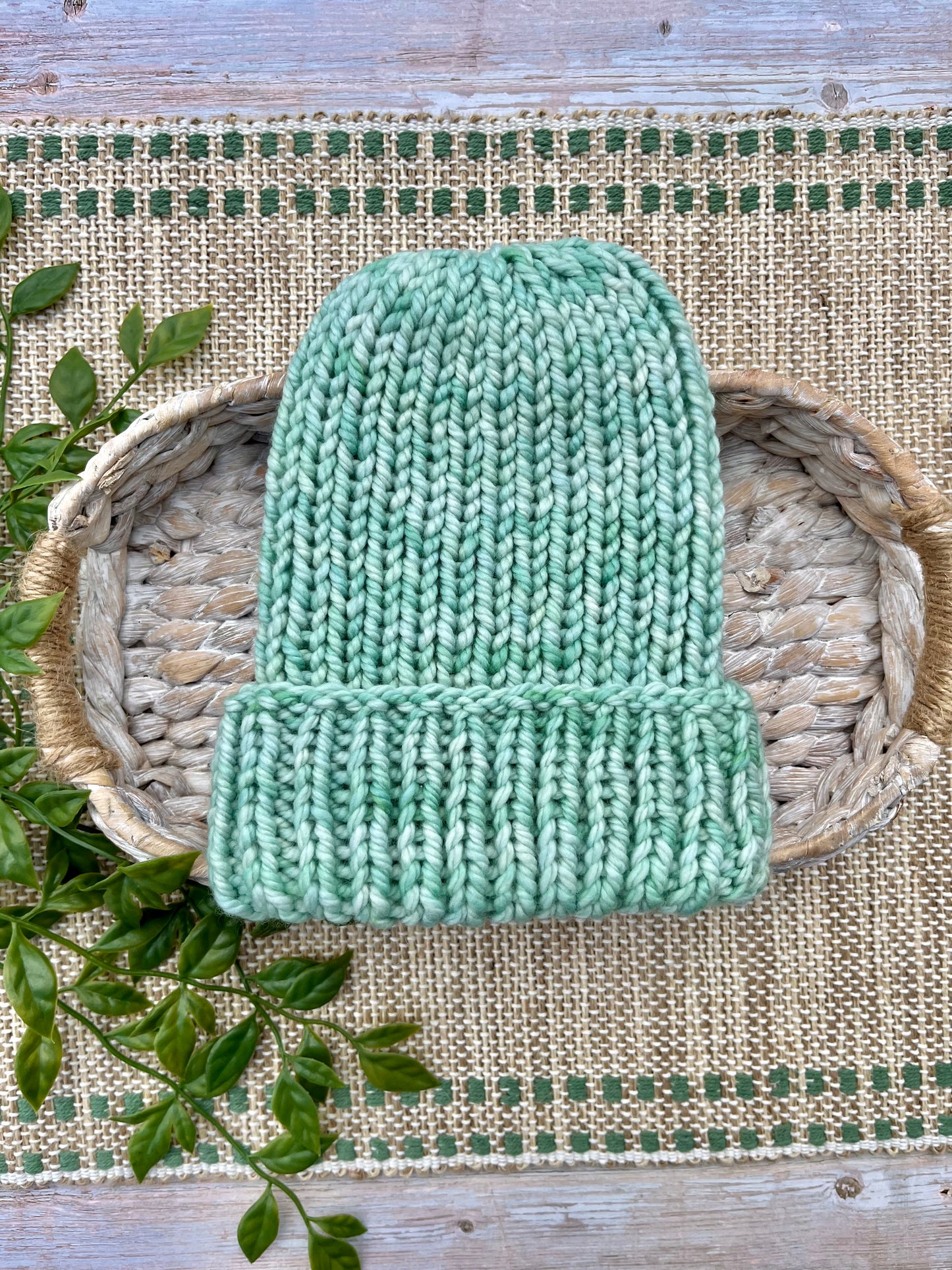 Folded Brim Beanie in Mint
